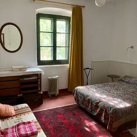 Your In The Center Of Apartamento *