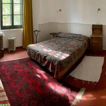 Your In The Center Of Apartamento